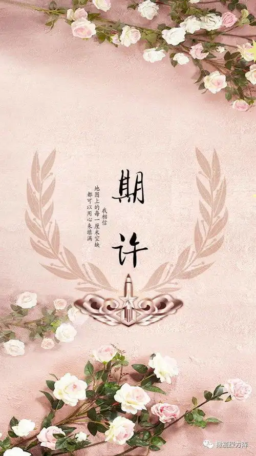 最适合军恋伴侣的唯美手机壁纸全军兵种大放送