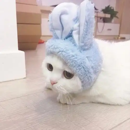  情侣头像沿途的风景我只能边走边忘