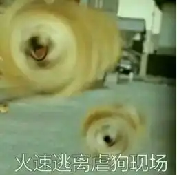  你是一名90后合格了吗