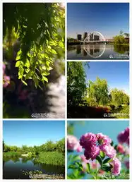  东李米罗湾二期适园新闻网团购抄底起价7字头11层小高层主推8090㎡套二