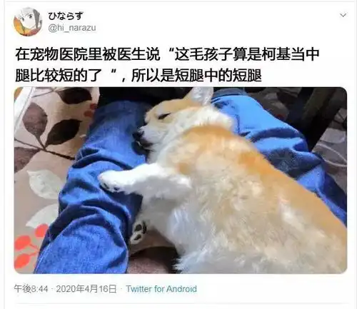  谁能告诉我,他爹会叫什么哈哈哈哈评论是魔鬼吗