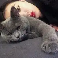  情侣头像抱着猫咪韩版微信头像图片大全