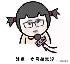  傻逼司机女司机,ok