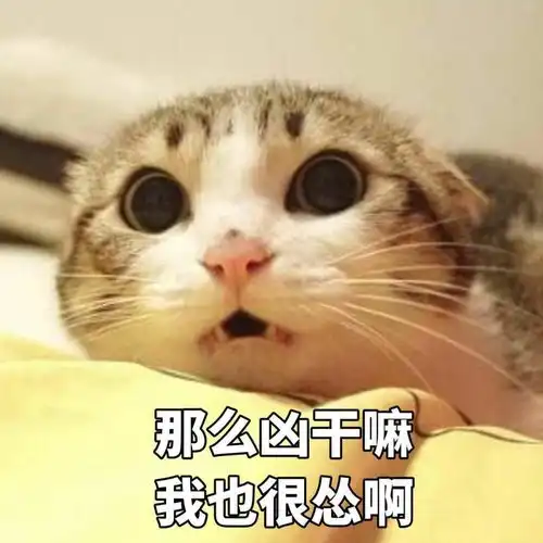 班主任工作