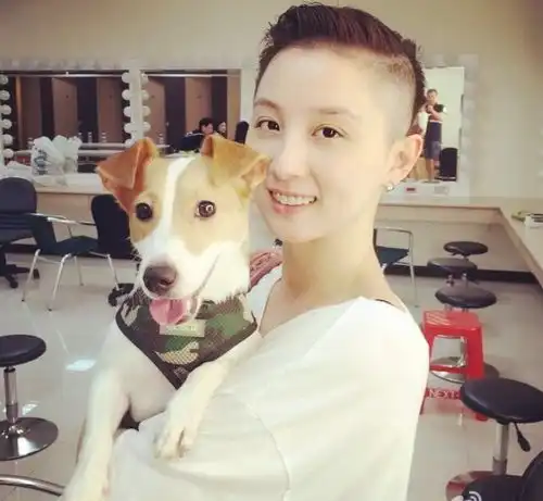  年中盘点官宣分手的情侣她与小16岁男友变亲人,赵丽颖不可惜