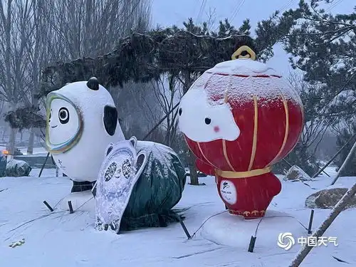 谷爱凌今日比赛取消,真相来了