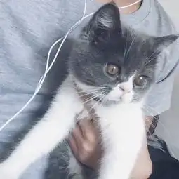  涛涛照片涛涛相册大全yy官方