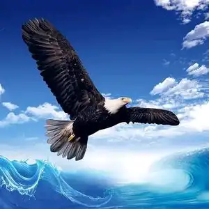  狂风暴雨暴雪冰雹是怎样产生的