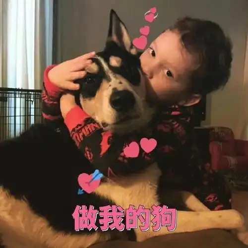  今晚,全黄石的单身帅哥美女都在这里双十一脱单才是正经事儿