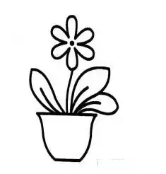  一盆花怎么画简笔画图片