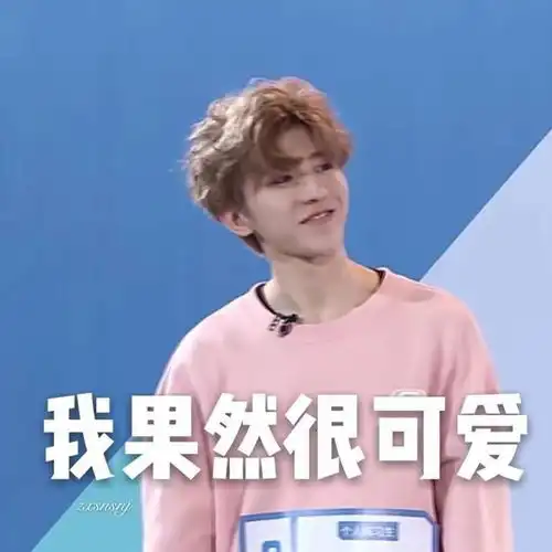  蔡徐坤搞笑表情包果然很可爱的粉色小葵蔡徐坤小葵