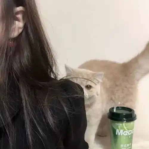 头像丨闺蜜头像霸气高清,遇见你的时候所有的星星都落到我的头上