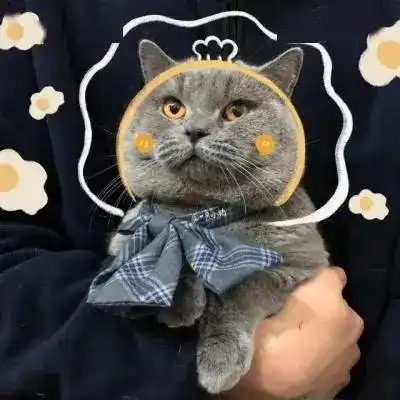  instanight头像壁纸各有归舟,各有渡口