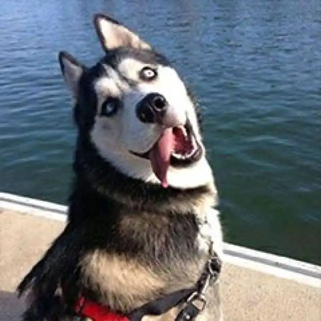  足球游戏如何让热身变得更有趣三