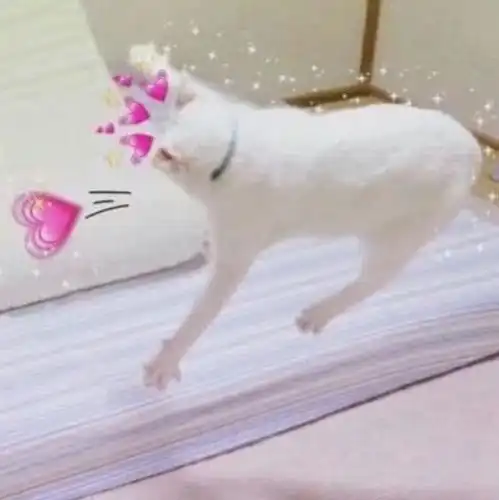  12句暗示我喜欢你的表白句子,第一眼就爱上,没人扛过第6句