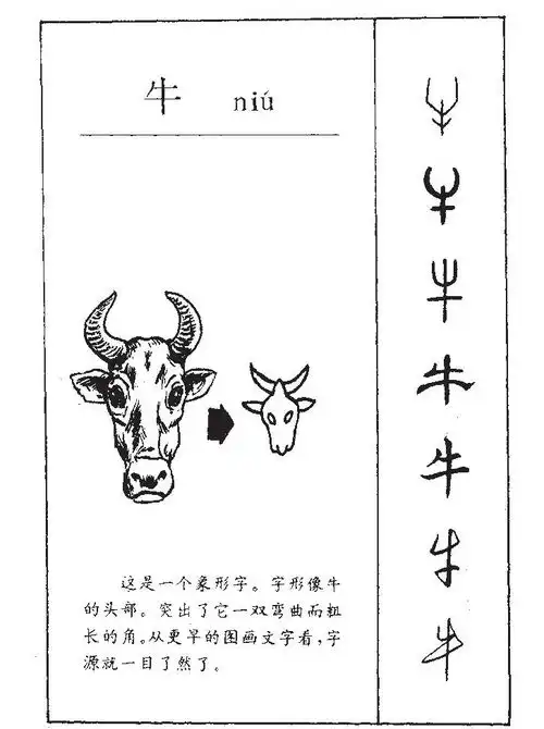 牛的意思牛字五行属什么牛字取名的寓意