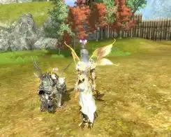  情人节缔造奇迹世界最美爱情神话