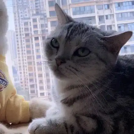  情侣头像一直在一起