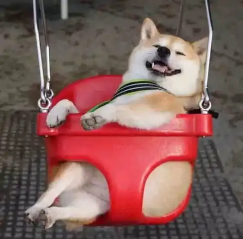  情侣头像一男一女