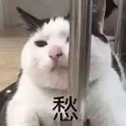 同安儿子没了,婆媳争遗产上法庭结局你想不到...