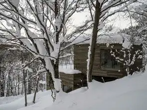 雪中别墅建筑设计北欧风情与工业风的融合