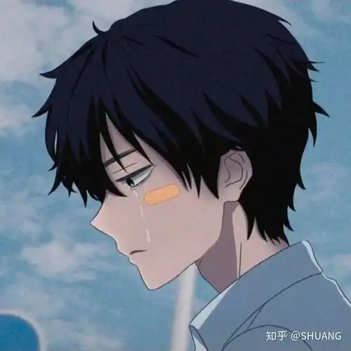  全网问有没有这个头像另外一半