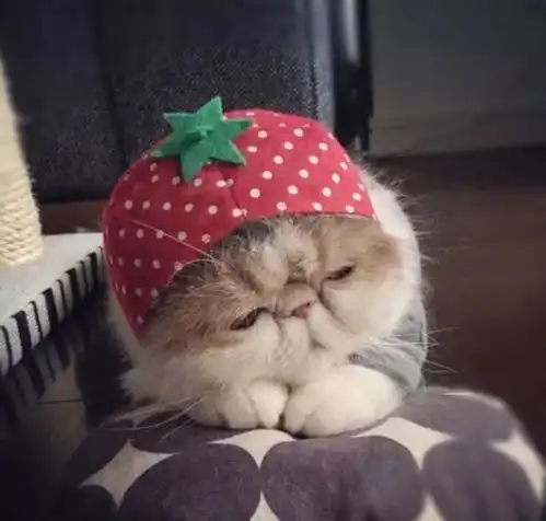  各种风格头像看一下绝对不会失望哦