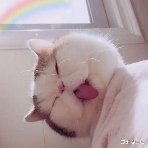  明日可期吗明天值得去期待吗