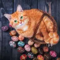  火影之血雾迷情火影之血雾迷情最新章节全文免费阅读塔读小说网