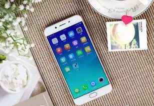  带着母亲去拍照,oppor9s传递爱的手机