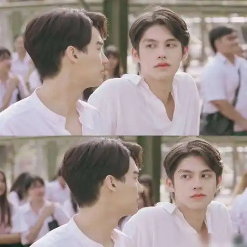  刚出道就疑恋爱,硬糖少女和前同事养同款猫,暗戳戳互动全被扒