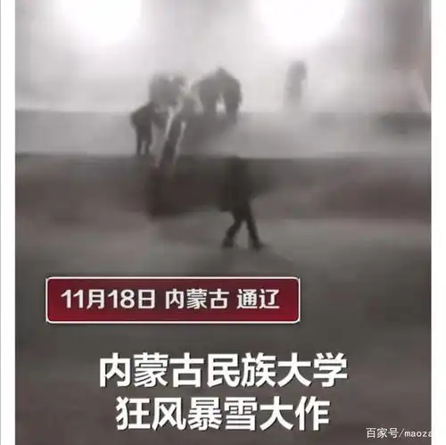  内蒙一大学生在校园内被狂风暴雪吹走,网友看来多吃肉没错
