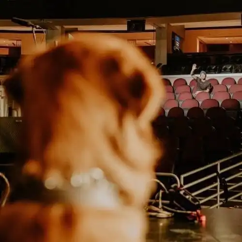  地下恋情专属的隐藏情头