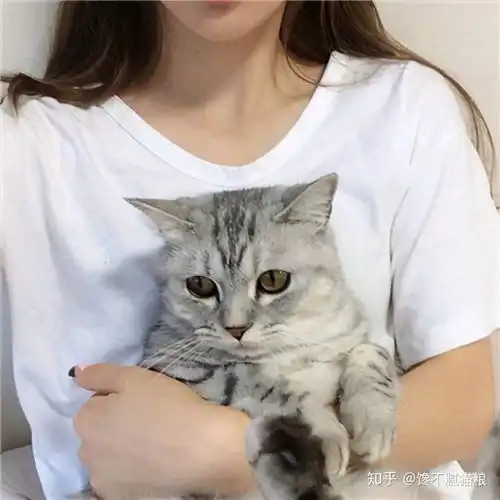 猫咪不喜欢被抱的6个原因,除了性格,更多跟主人有关