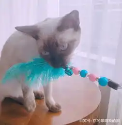  家庭增添新成员心情大好晒美照失踪少女吴宣仪上线