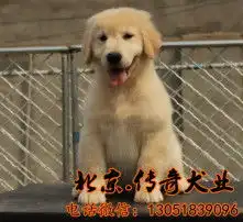  黄页88高清图片