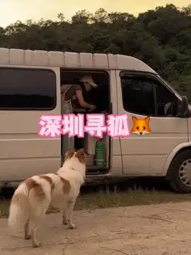  小七的旅行2.14情人节钙片活动