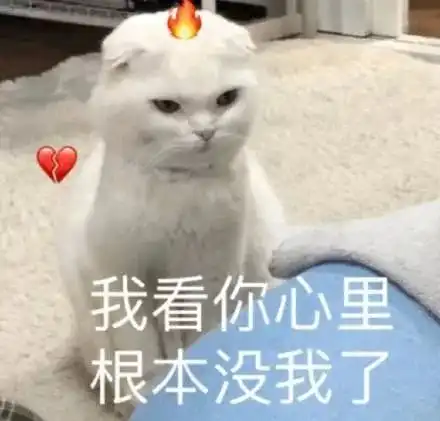 表情包图片脑阔痛,我都看见了