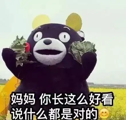  爸妈你什么时候开学