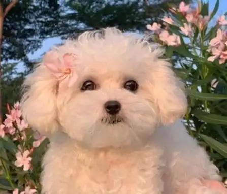  生气心情很郁闷的时候发朋友圈的短句发泄情绪的热门朋友圈文案