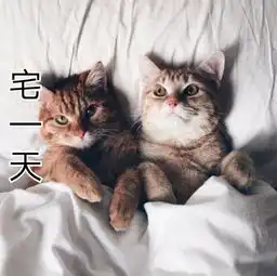  东秦学子放假宅在家中做这些事