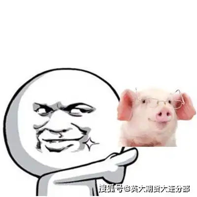  五大维度带你了解生猪期货