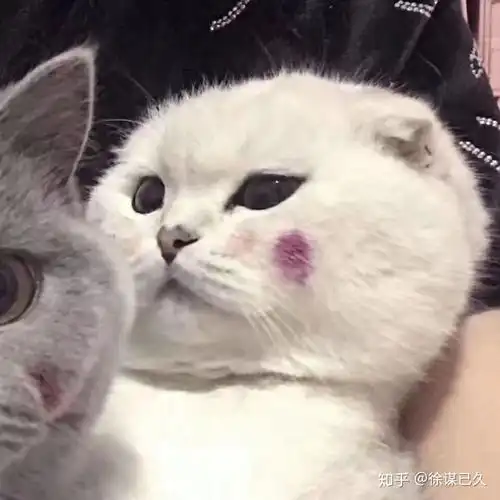  一个人拿花露水当香水喷是一种什么感觉