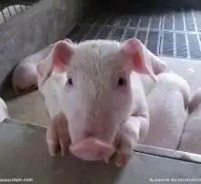  黄页88高清图片