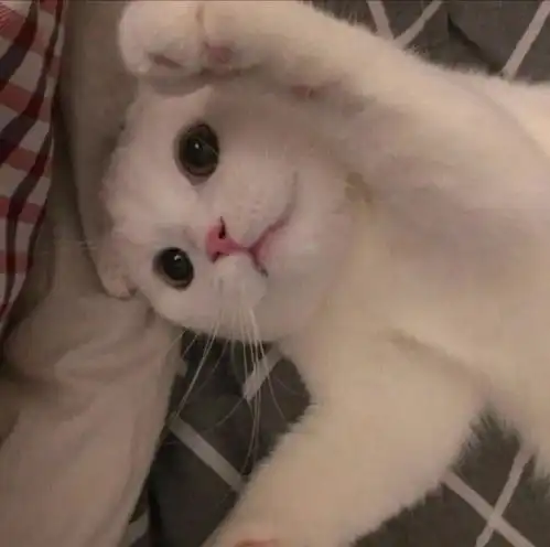  不想当大人了,每天都要做好多决定