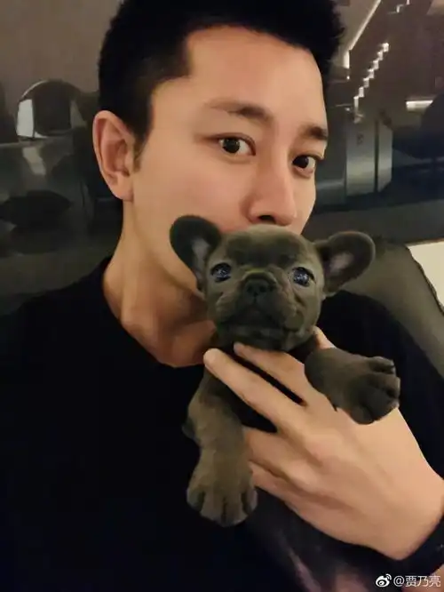  扒叔说沈梦辰和波叔有染贾乃亮插刀lxl陈坤倪妮有猫腻谢娜排挤沈腾春夏恋情被扒王艳嫁伪富豪