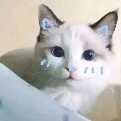  情侣头像丨古灵精怪,可可爱爱