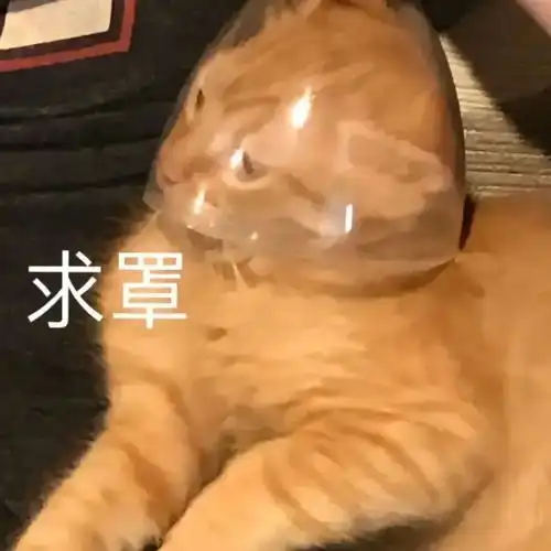  ab复出试水失败返港发展穿迷你裙扭腰摆拍,被嘲重回嫩模时代