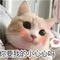  瓜皮和萌萌的情侣头像卡通微信头像图片大全