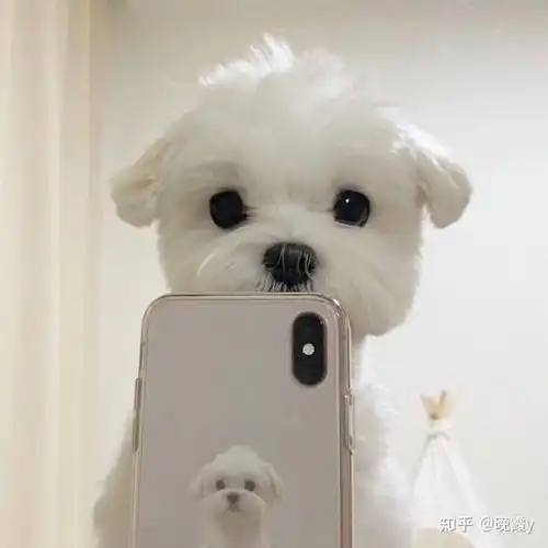  我现在是四川新高二文科生,英语数学很差,高一没怎么学习,现在开学一周了,想奋发努力考上一本线该怎么办